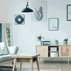 Bild Pinevision AB		 (Foton Webbyråer, Bild Företag)