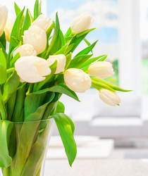 Bild Easy Clean Syd AB (Foton Lokalvårdare, Bild Städföretag)