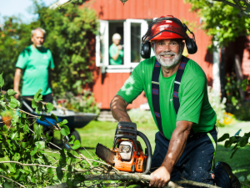 Bild Veteranpoolen AB (Foton Lokalvårdare, Bild Städföretag)