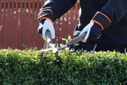 Bild FemtioFemPlus (Foton Lokalvårdare, Bild Städföretag)