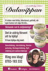 Bild Dalavippan AB (Foton Lokalvårdare, Bild Städföretag)