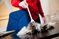 Bild Anderssons Städ & Fönsterputs (Foton Lokalvårdare, Bild Städföretag)