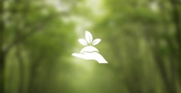 Bild Städjätten (Foton Lokalvårdare, Bild Städföretag)