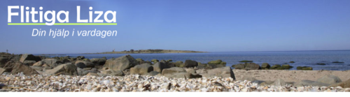 Bild Flitiga Liza (Foton Lokalvårdare, Bild Städföretag)