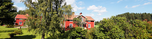 Bild Sth-Städ Trädgård & Hemservice (Foton Lokalvårdare, Bild Städföretag)