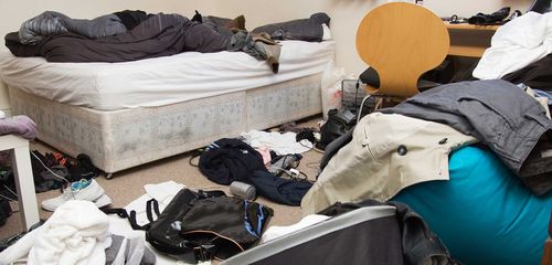 Bild Sth-Städ Trädgård & Hemservice (Foton Lokalvårdare, Bild Städföretag)