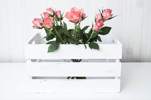 Bild Renaytor (Foton Lokalvårdare, Bild Städföretag)