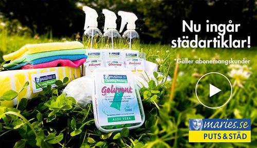 Bild Maries (Foton Lokalvårdare, Bild Städföretag)