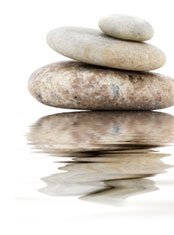 Violas Team AB logotyp