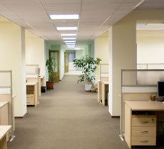 Bild LF Städ (Foton Lokalvårdare, Bild Städföretag)