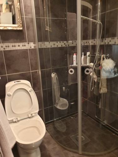 Bild Grönt och Rent  (Foton Lokalvårdare, Bild Städföretag)