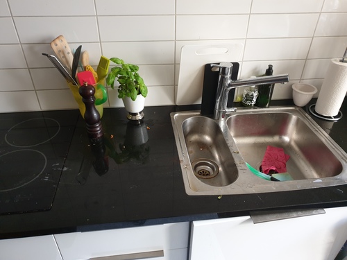 Bild Grönt och Rent  (Foton Lokalvårdare, Bild Städföretag)