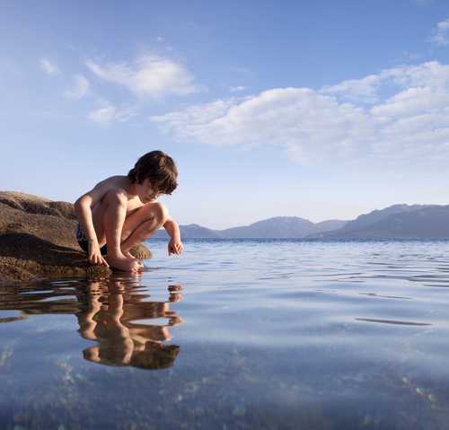 Bild BioRent (Foton Lokalvårdare, Bild Städföretag)