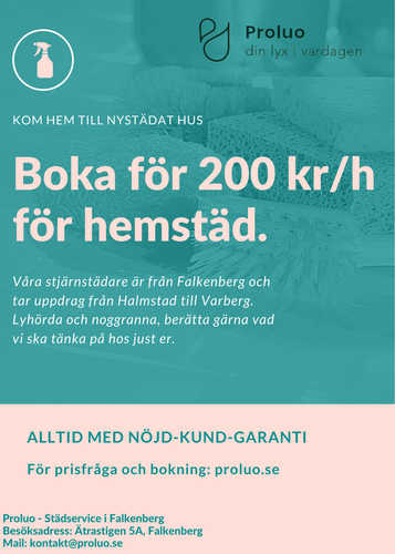 Bild Proluo Städservice  (Foton Lokalvårdare, Bild Städföretag)