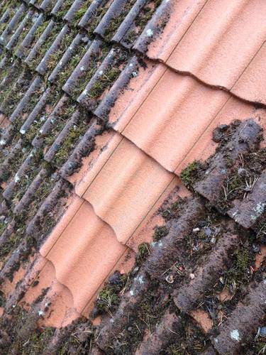 Bild Takexperterna i Östergötland (Foton Takläggare, Bild Takföretag)