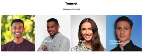 Bild E&N Excellent städservice i Mälardalen (Foton Lokalvårdare, Bild Städföretag)