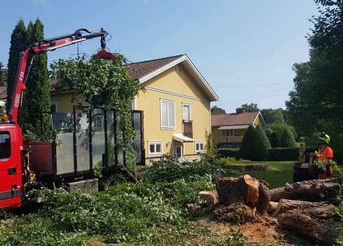 trädfällning i stockholm vid villa