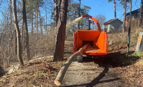 Stubbfräsning i Stockholm
