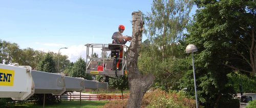 Ekerö