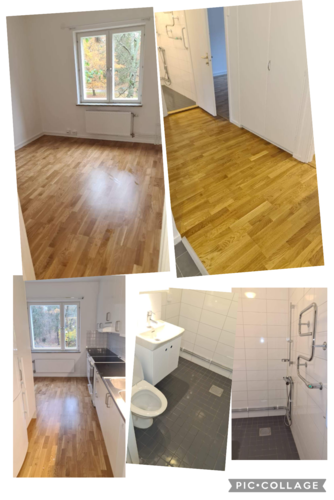 Bild Svensk Trädgård & Städ AB (Foton Lokalvårdare, Bild Städföretag)