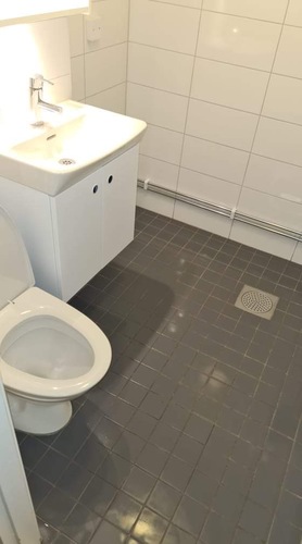 Bild Svensk Trädgård & Städ AB (Foton Lokalvårdare, Bild Städföretag)