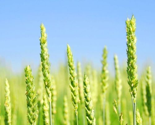 Företagsbild på Kylslaget AB – Ett VVS-företag i Vallentuna