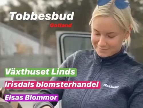 Bild på Tobbes Bud – flyttare i Gotlands län