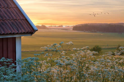 solceller lantbruk