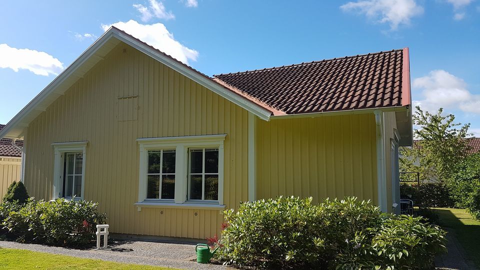 Företagsbild på DB Måleri & Entreprenad AB – Ett Företag i Västerås