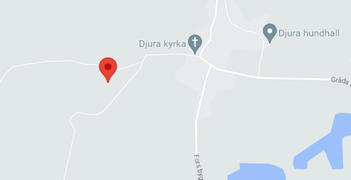 Djura
