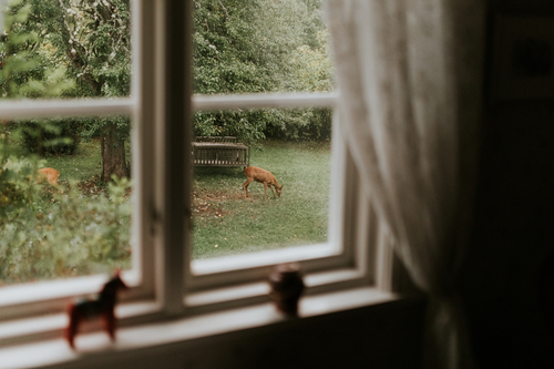 byta fönster, fönsterbyte