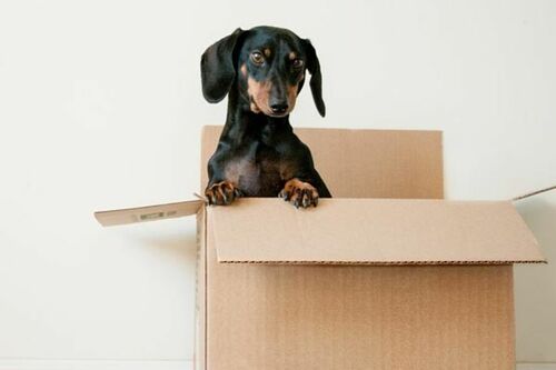 Företagsbild på Kvalitet Transport Sverige AB – Ett flyttföretag i Haninge 2023