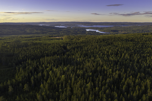Dränering, Dränering Jämtland, Dränera i Jämtland, Markarbete, Enskilt Avlopp, Markarbeten