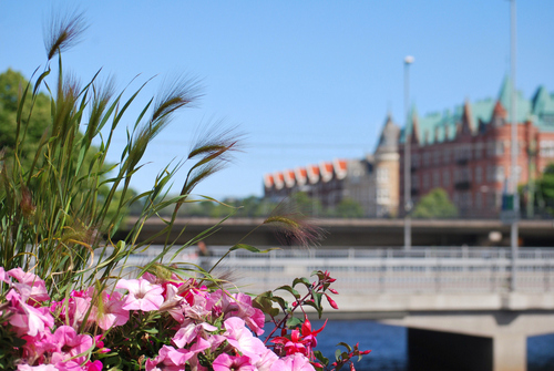 städning i Gävle, hemstädning i Gävle, storstädning i Gävle