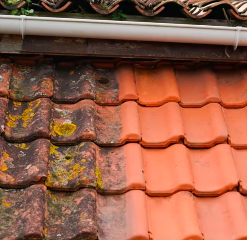 Företagsbild på Svea Takvård AB – Ett takföretag i Uppsala län 2024