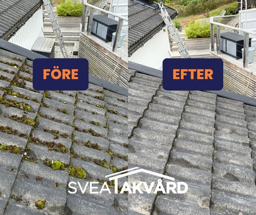 Företagsbild på Svea Takvård AB – Ett takföretag i Uppsala län 2024