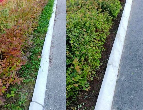 Företagsbild på Grönskan – Ett arboristföretag i Säter 2024