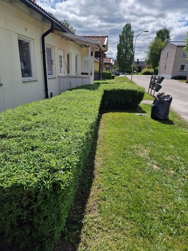 Företagsbild på Grönskan – En arborist i Dalarnas län