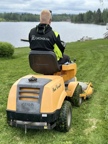 Företagsbild på Grönskan – Ett arboristföretag i Dalarnas län