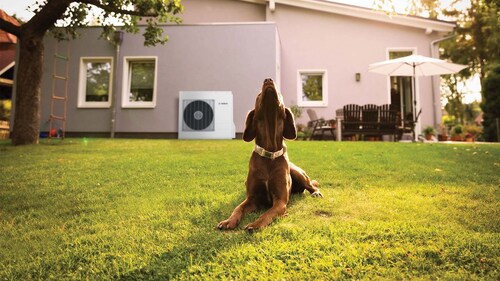 Bild på hund på gräsmatta, bakrunden är en luft-vattenpump