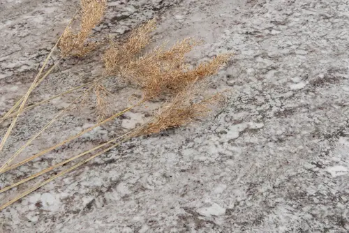 Granit Taupe White