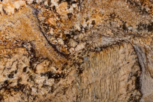 Granit Golden Persa