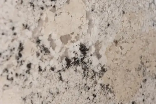 Granit Fantastic White