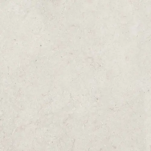 Trani Ivory