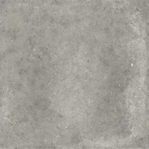 Pirenei Grey
