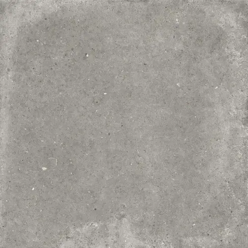 Pirenei Grey