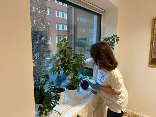 Primus Städ AB bild 2025