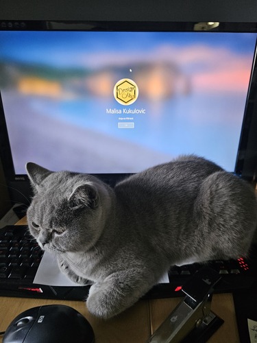 Företagsbild på DeZign Hus i Skåne AB – Ett badrumsföretag i Skåne län 2025