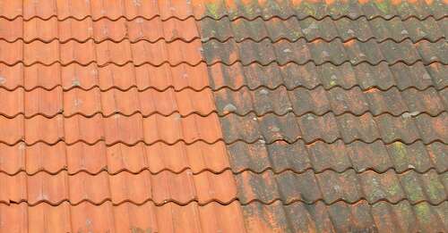 Bild på LevandeTak – takföretag & takläggare i Rydebäck (Skåne län)