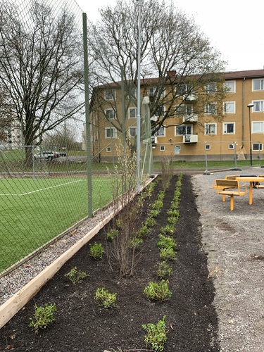 Bild på Grönskan – arboristföretag & arborist i Säter (Dalarnas län)